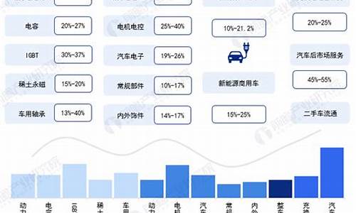 新能源汽车产业集群_新能源汽车产业集群建设工作例会