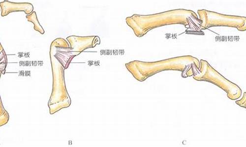 atc医学_ats医学指的什么的缩写