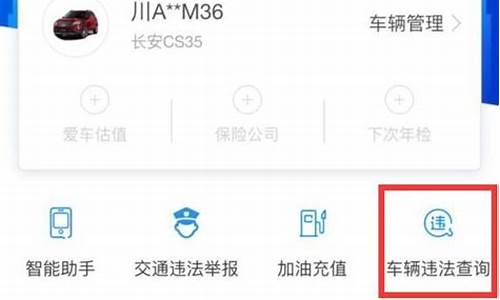 360汽车违章查询系统_全国违章车辆违章查询360