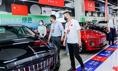 株洲新能源汽车_株洲新能源汽车补贴政策